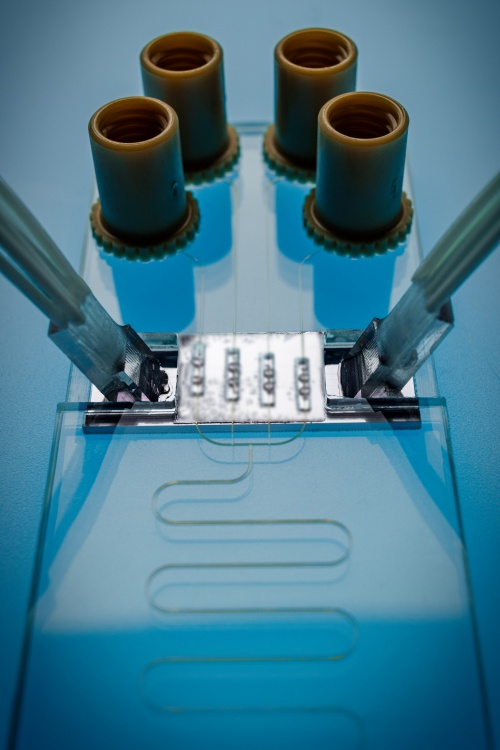 Optische Mikroresonatoren Optische Mikroresonatoren