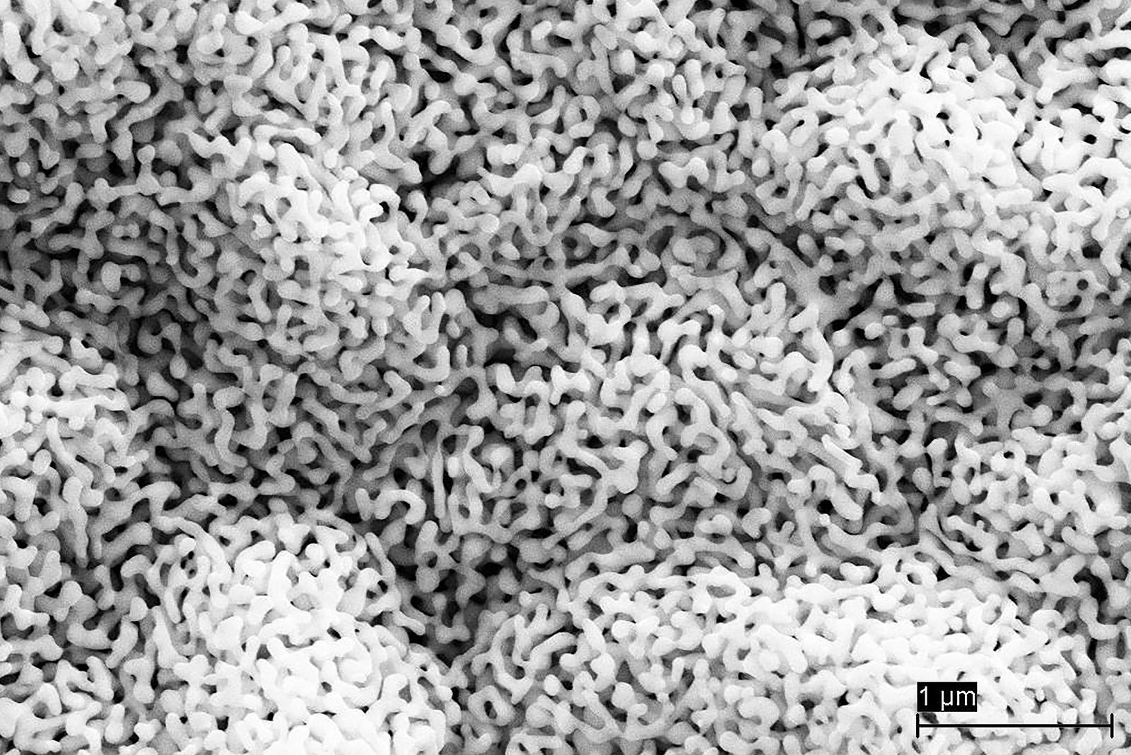 Tech New - bessere Sicht bei Nacht Tech New - bessere Sicht bei Nacht - Fraunhofer IZM