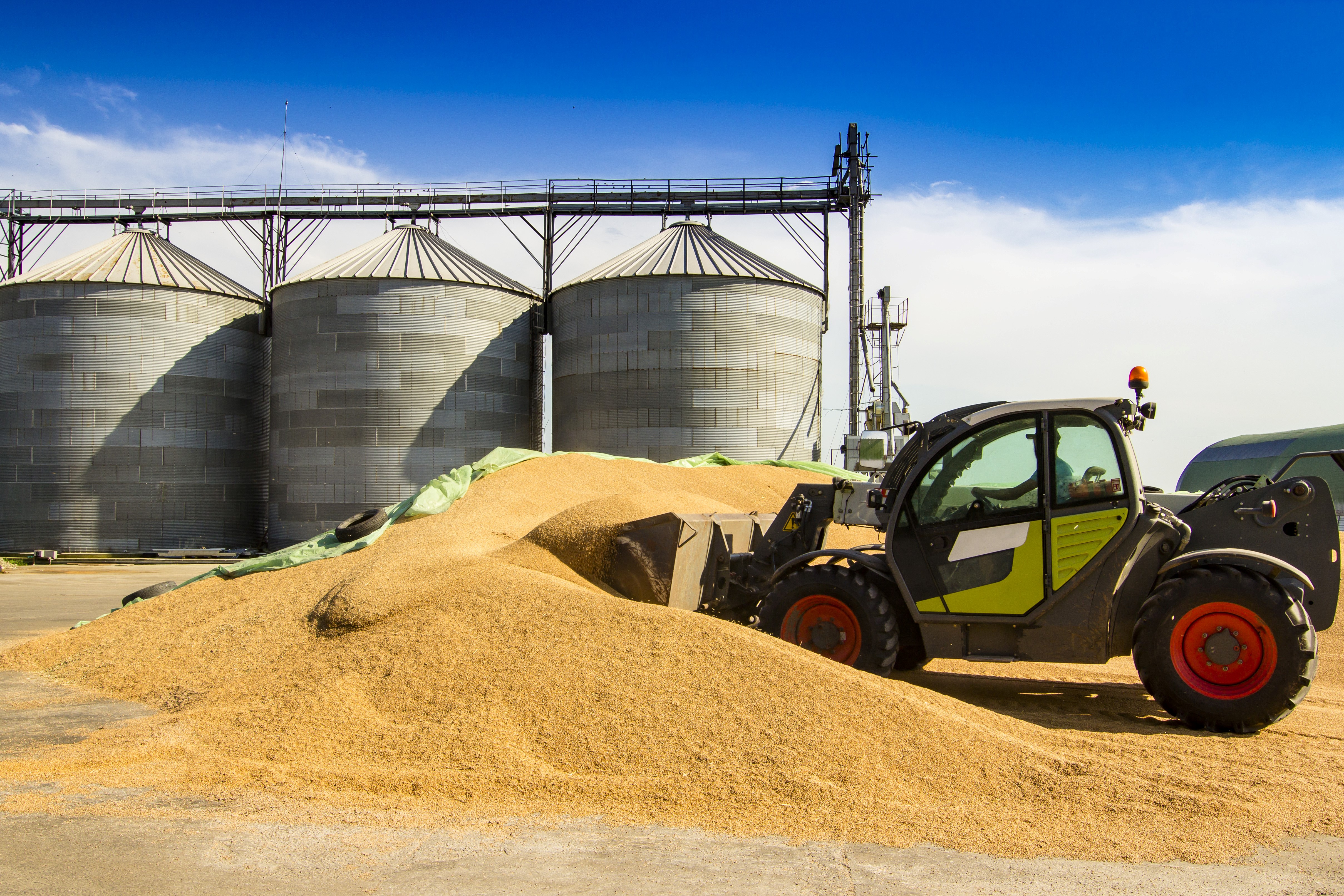 Lasertechnik für die Landwirtschaft 4.0 Lasertechnik für die Landwirtschaft 4.0 | AdobeStock
