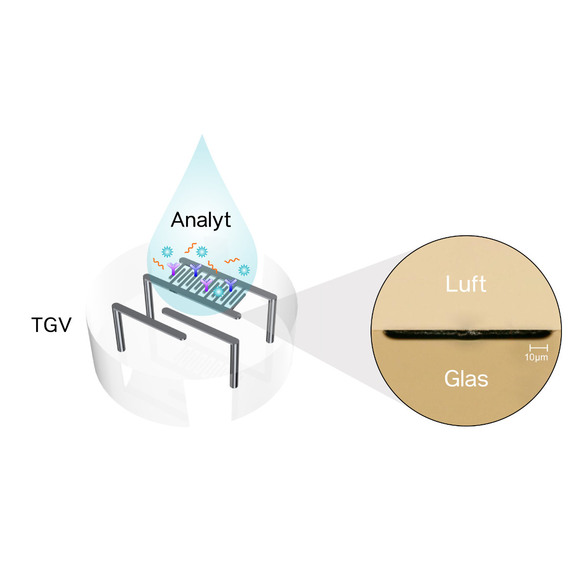 Biosensor img - Biosensor
