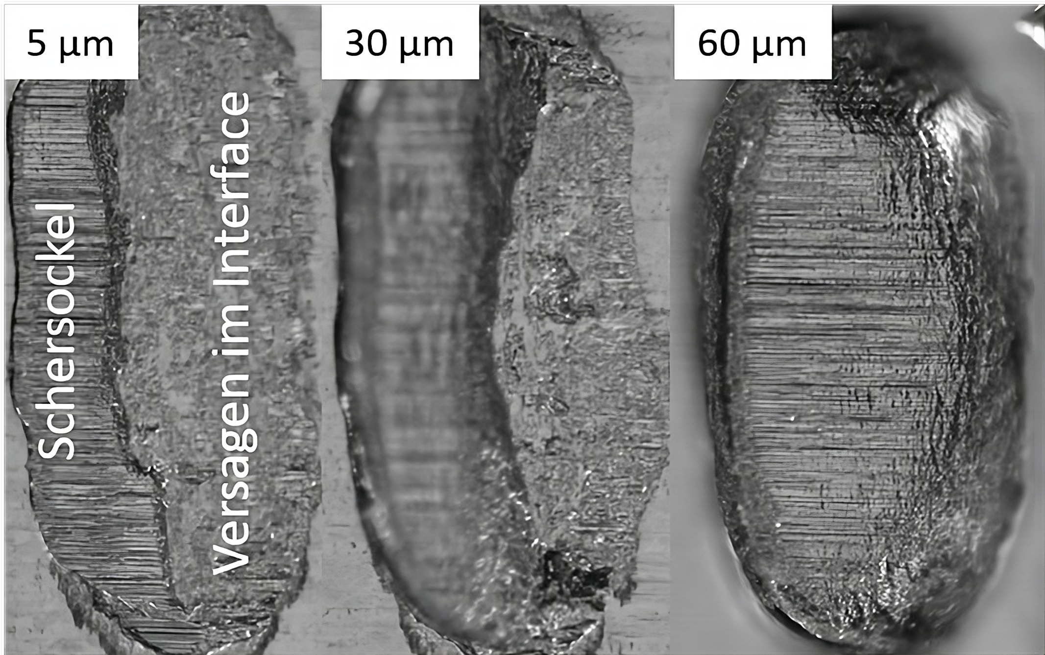 de abgescherte Al H11 Wedges Draufsicht auf abgescherte Al H11 Wedges