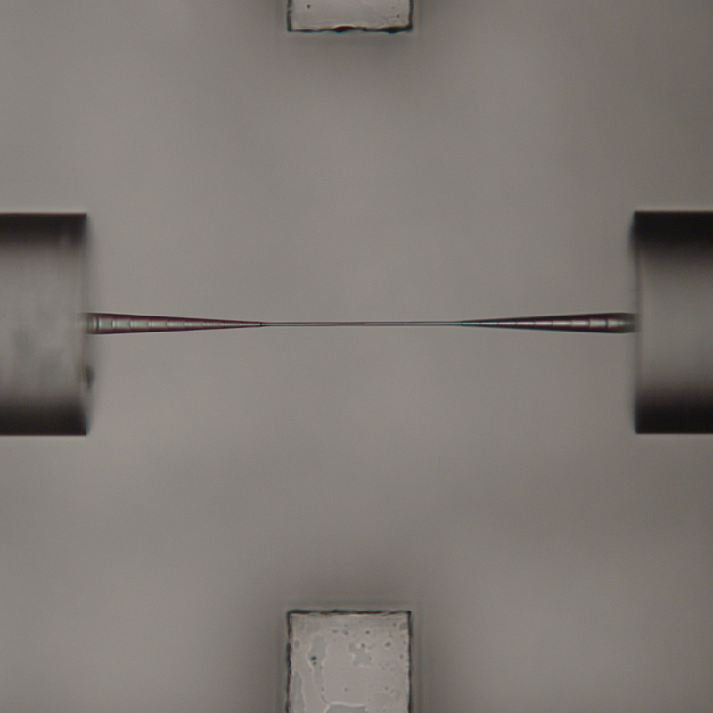 Zwei optische Fasern verbunden mit einem Photonic Wire Bond