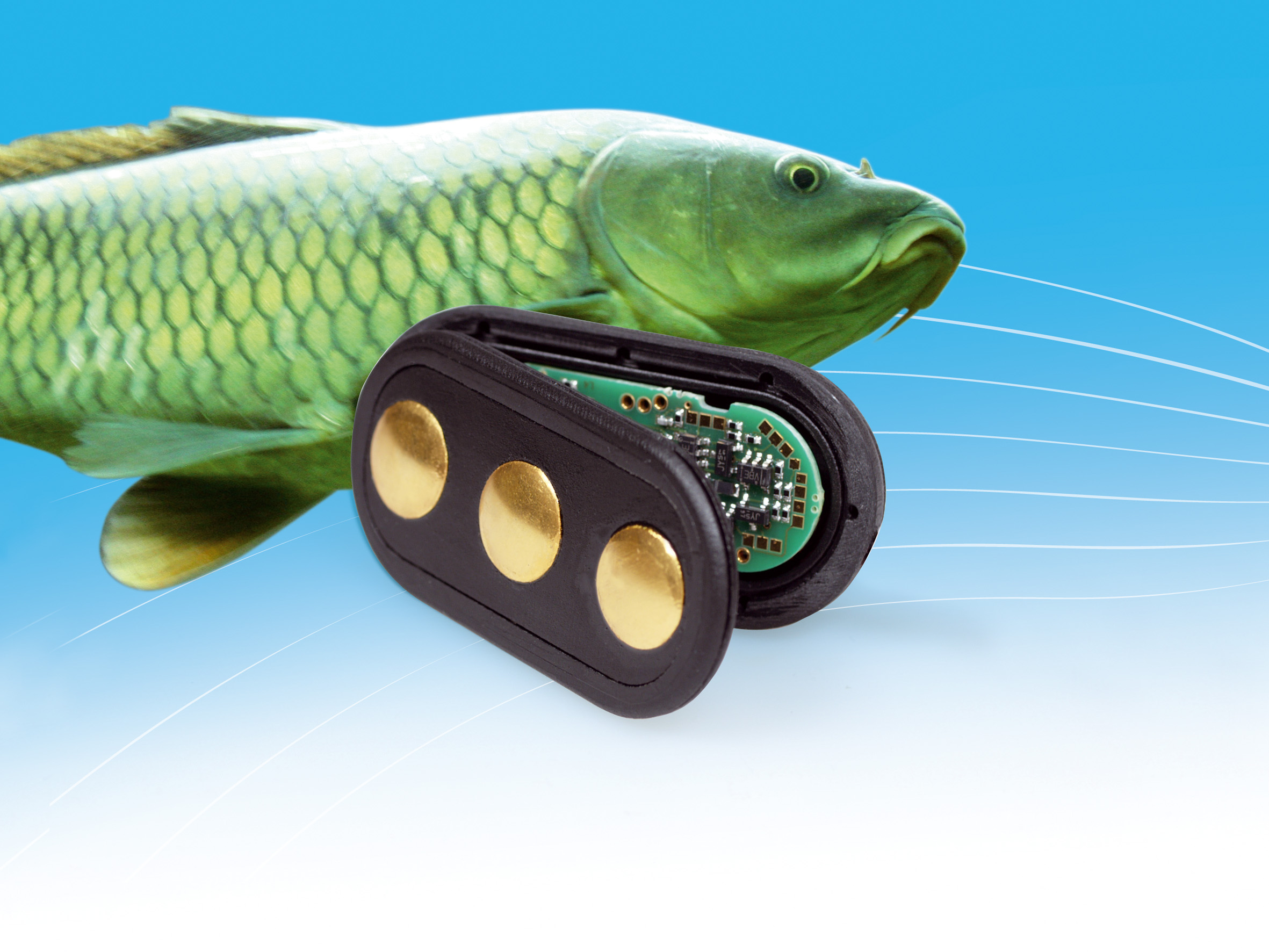 FishFIT Monitoring – Integrated Microsystem Technology in Water - Fraunhofer IZM - 3RS