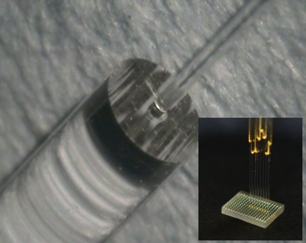 Fused single optical fiber to GRIN lens. fused array of fibers to microoptic substrate 