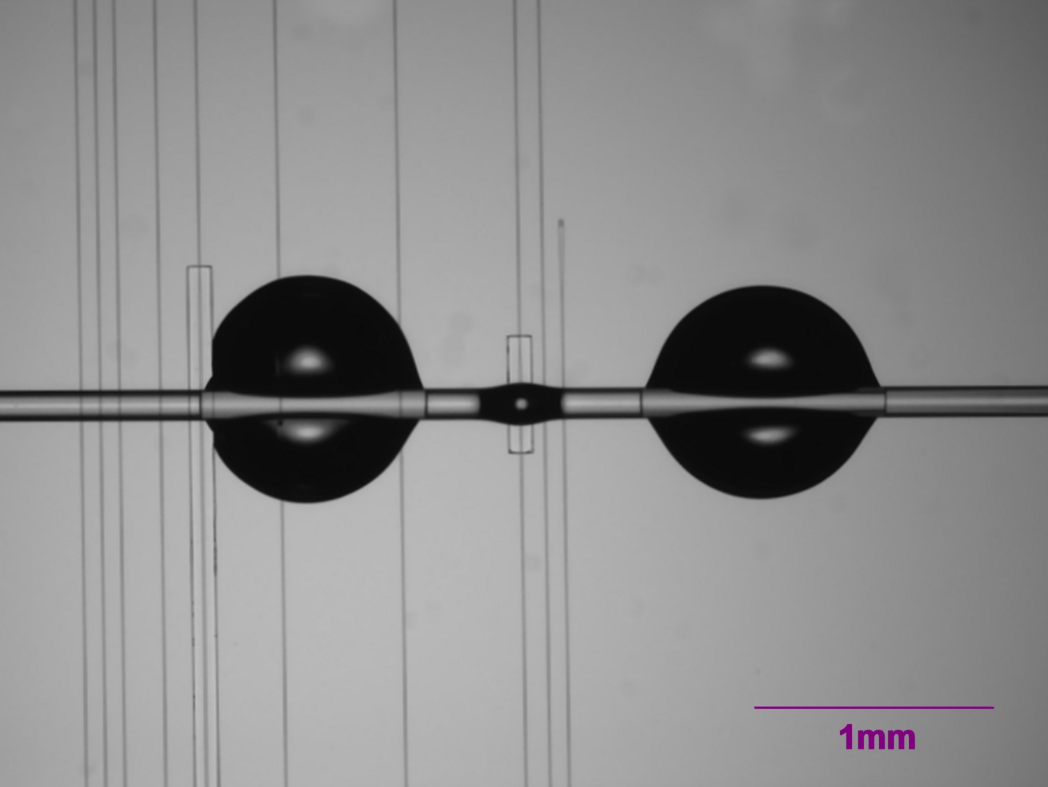 Optische Mikroresonatoren Optische Mikroresonatoren