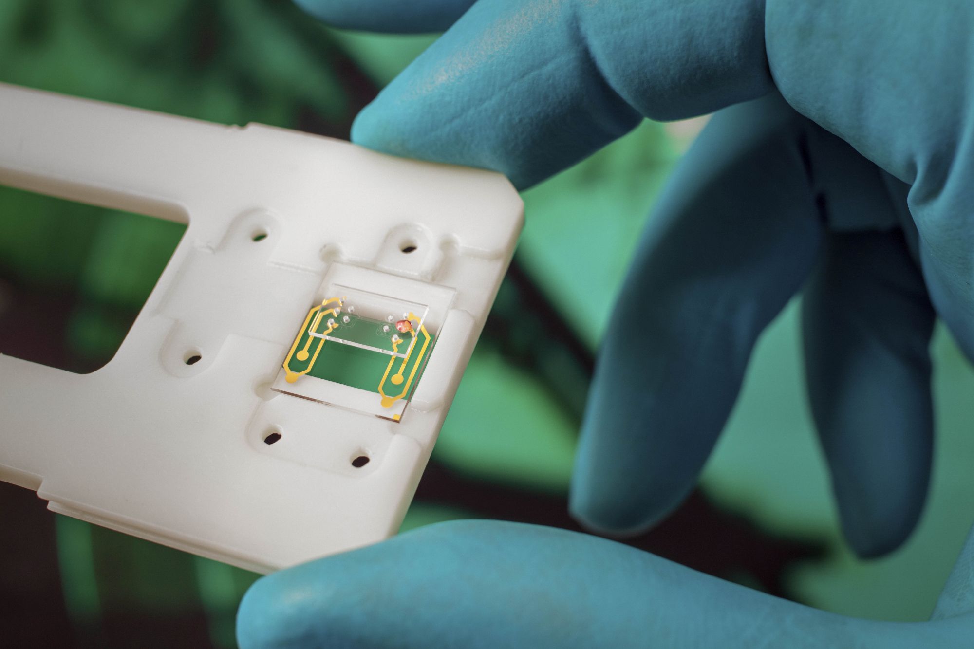 Tape-bonded fluidic microsystem for Point-of-Care diagnostics (PHOCNOSIS project) Image - Tape-bonded fluidic microsystem for Point-of-Care diagnostics (PHOCNOSIS project)