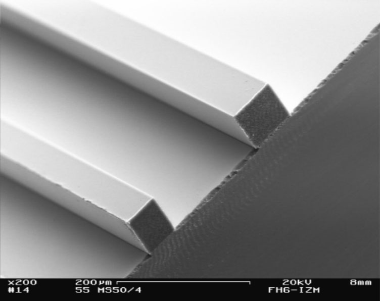 image - SEM micrograph