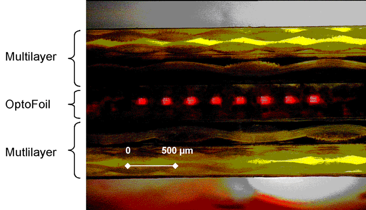 image - Optical micrograph
