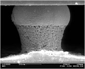 SEM picture of a flip chip ICA-interconnect, ICA dip transfer with Au-Stud-Bumps