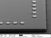 Thinned IC with thin electroplated CuSn bumps