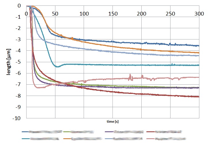 different adhesives, different shrinkages characteristics (layer thickness 100µm) different adhesives, different shrinkages characteristics (layer thickness 100µm)