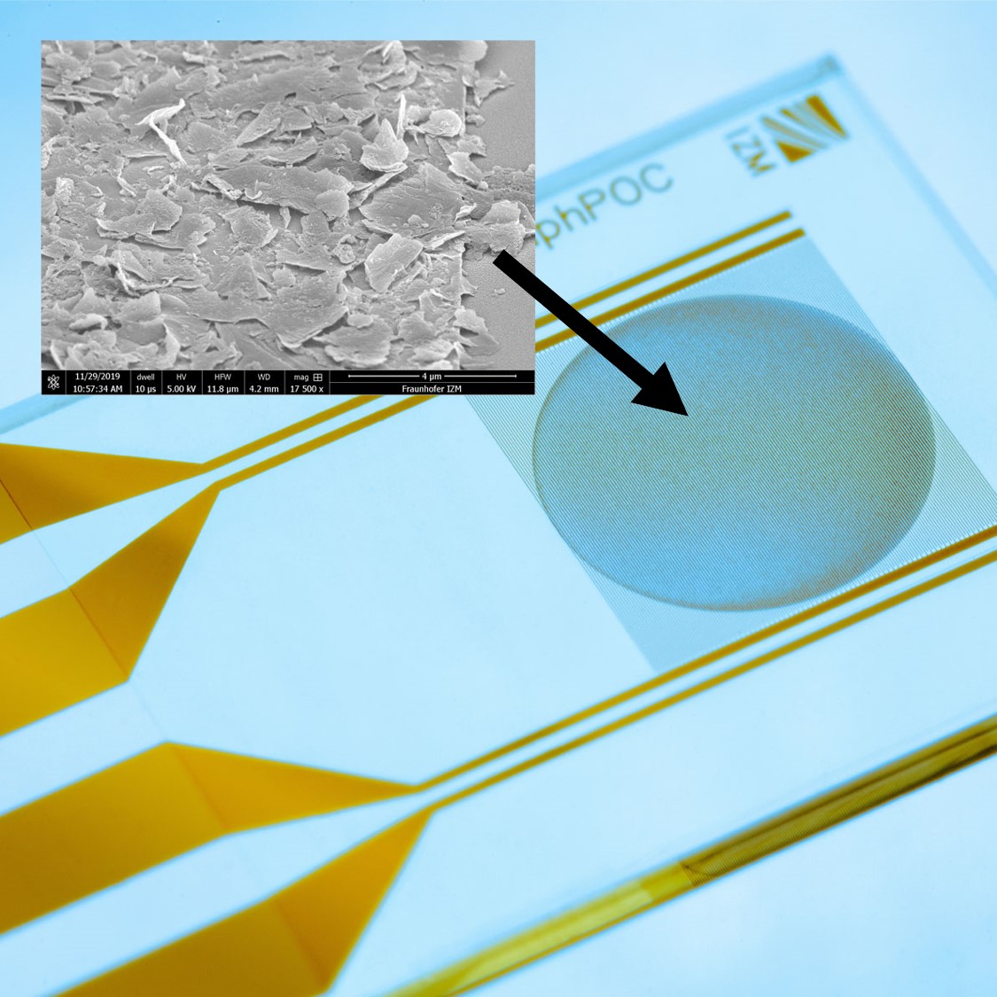 Graphene-based biosensor with REM magnification of the sensor surface