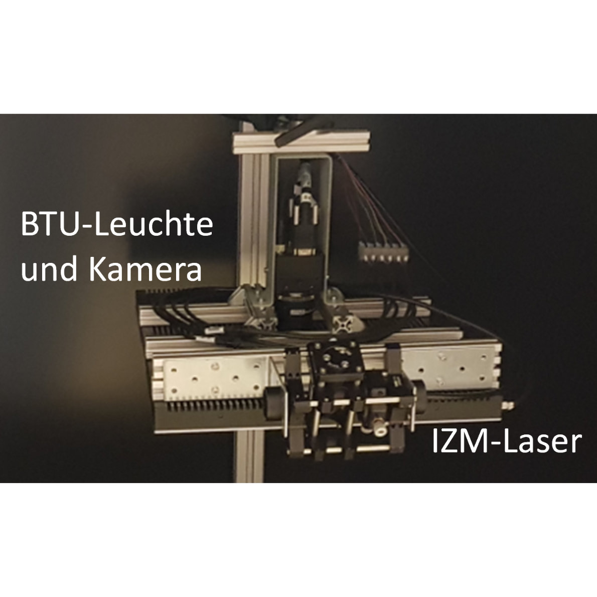 Insektenlaser image - Insektenlaser