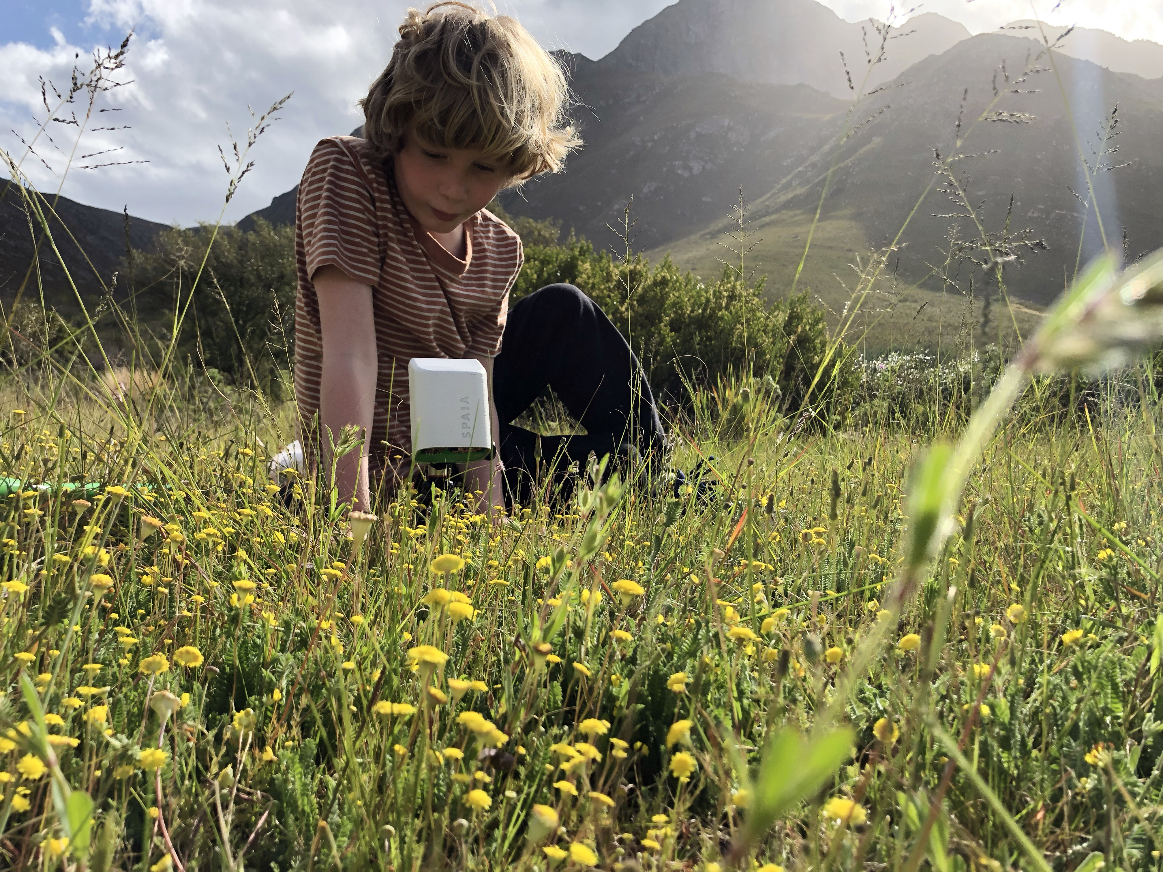 Erste Prototypen von SPAIA im Einsatz./ SPAIA - Society of People Against the Insect Apocalypse
