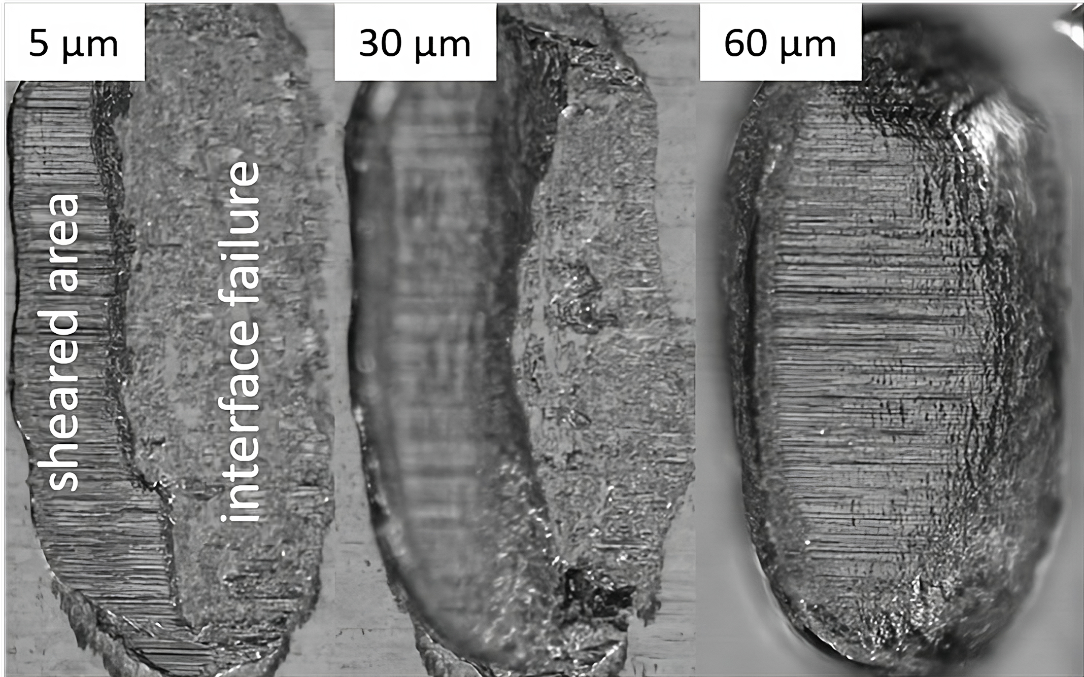 Draufsicht auf abgescherte Al H11 Wedges