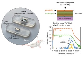 Langzeitstabile neuronale Implantate