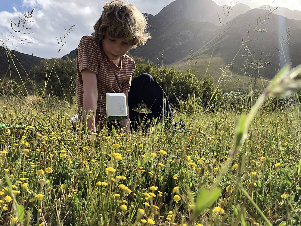 Erste Prototypen von SPAIA im Einsatz./ SPAIA - Society of People Against the Insect Apocalypse