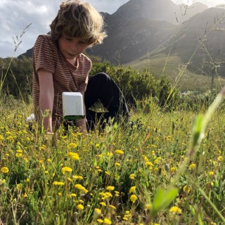 Erste Prototypen von SPAIA im Einsatz./ SPAIA - Society of People Against the Insect Apocalypse