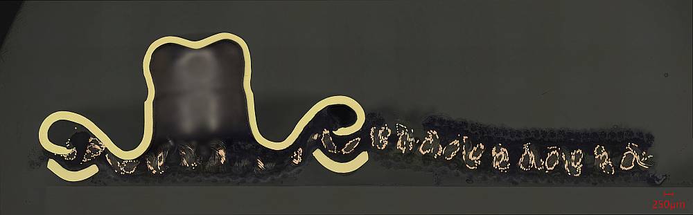 Micro section analysis of stretchable hybrid yarn after 100 wash cycles