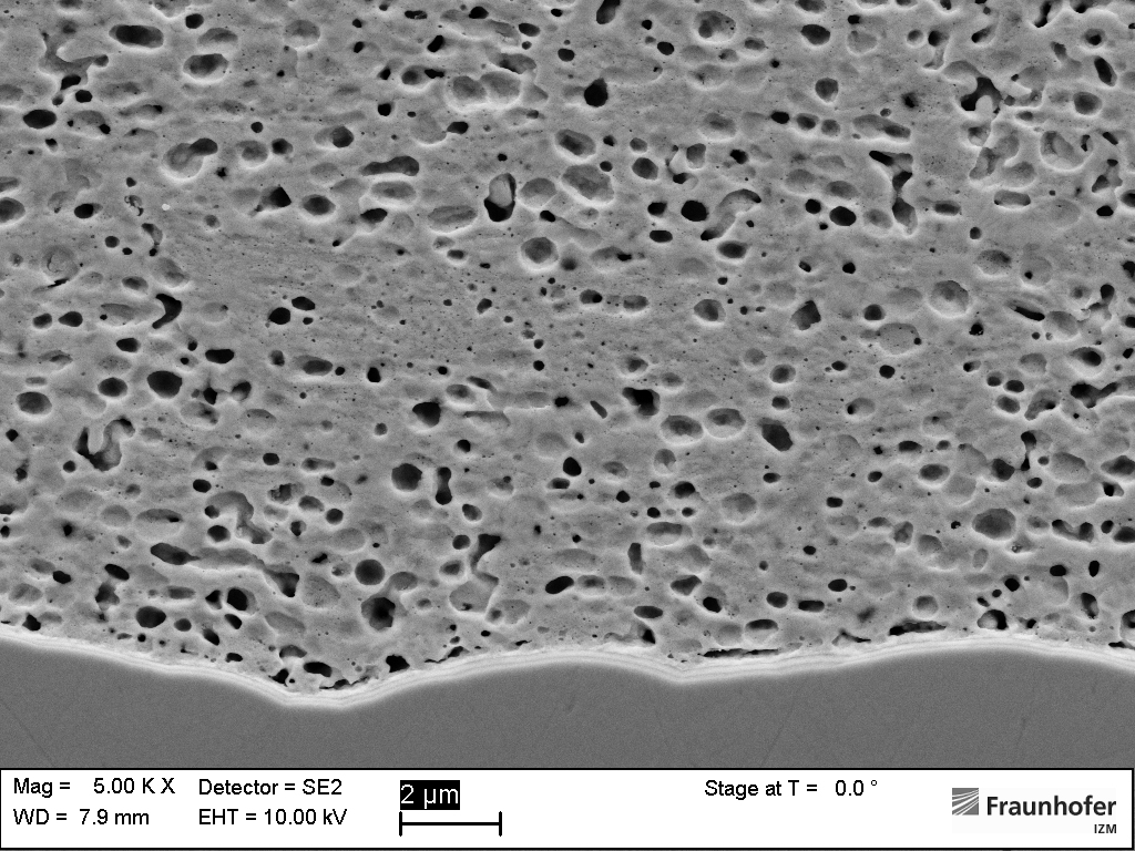 Cross section of a Ag sinter joint - black/white